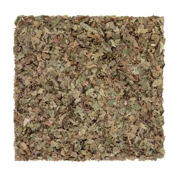 Walnut Leaf Herb Stock Photos