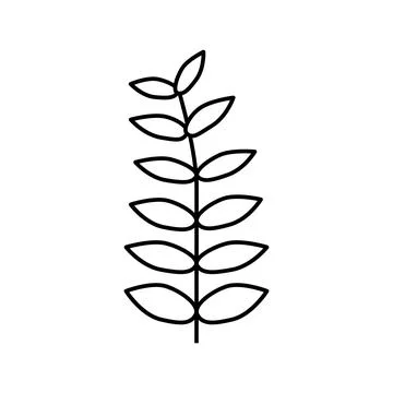 Walnut leaf line icon vector illustration Stock Illustration