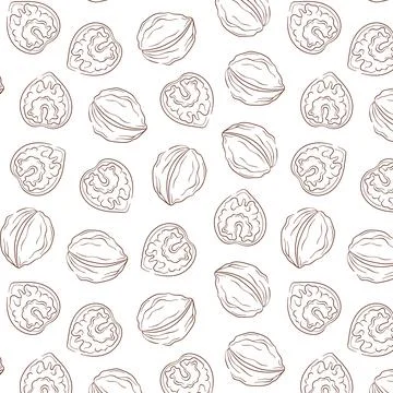 Walnut line art style seamless pattern. Hand drawn nuts illustration for print Stock Illustration