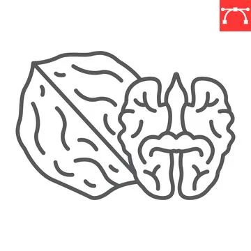 Walnut line icon 스톡 일러스트