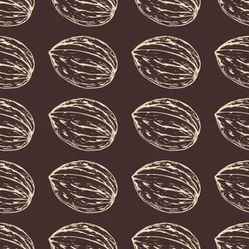 Walnut line sketch vertical pattern Stock Illustration