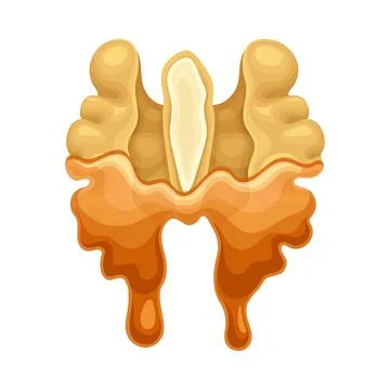 Walnut in liquid caramel. Nutritious natural sweet dessert vector illustration Illustrazione stock