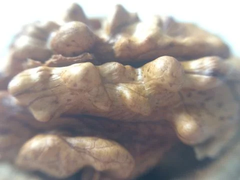 Walnut macro Stock Photos