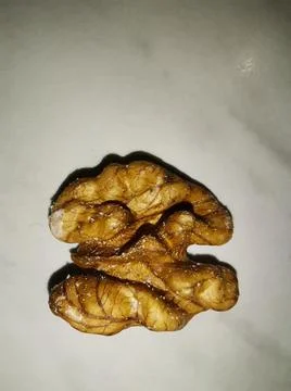 Walnut macro Stock Photos