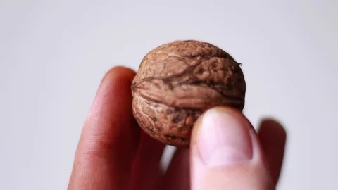 Walnut in man's hand closeup Stock Footage 80799580