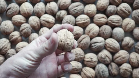 Walnut in a man's hand Stock Footage 211442889