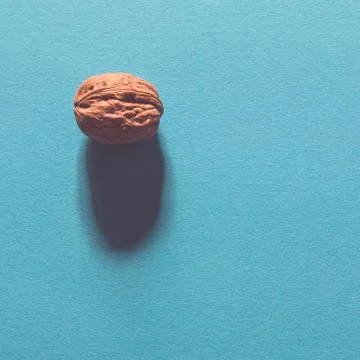 Walnut on minimal background Stock Photos