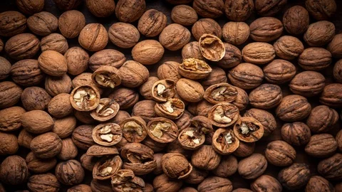 Walnut move stop motion 스톡 동영상 122217544