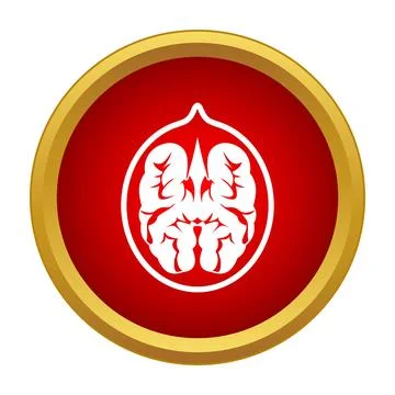 Walnut nut brain food icon in a golden circle Stock Illustration