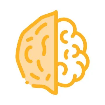 Walnut Nut Icon Vector Outline Illustration 스톡 일러스트
