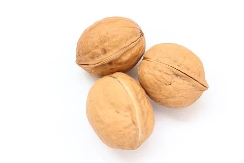 Walnut nut isolated on white background 스톡 사진