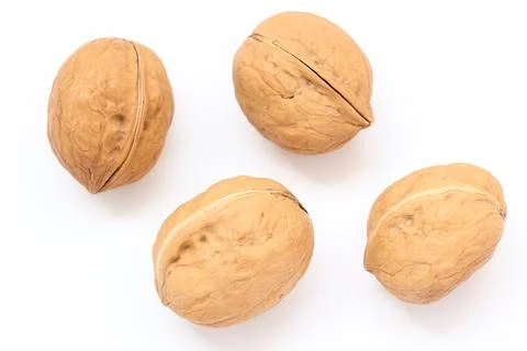 Walnut nut isolated on white background Fotos Stock