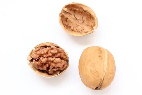 Walnut nut isolated on white background Fotos de archivo