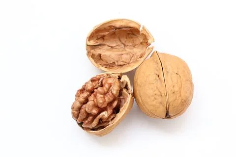 Walnut nut isolated on white background 스톡 사진