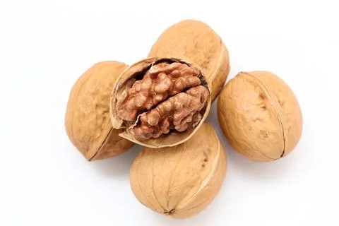 Walnut nut isolated on white background Fotos de archivo