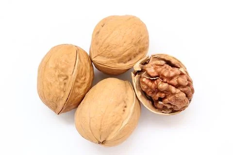 Walnut nut isolated on white background Fotos Stock