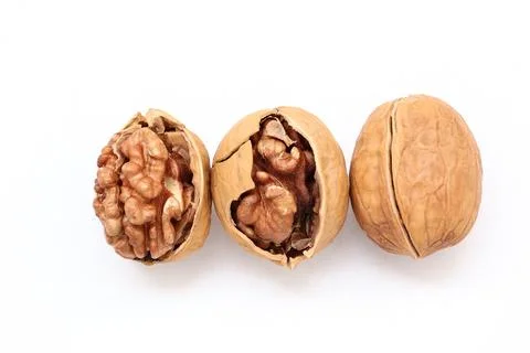 Walnut nut isolated on white background 库存照片