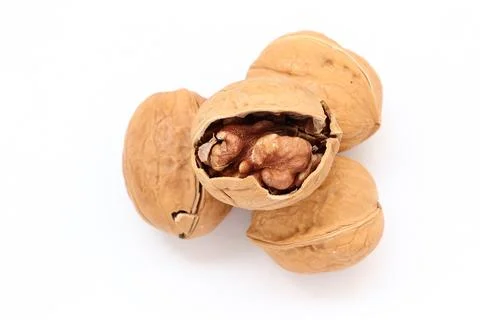 Walnut nut isolated on white background Fotos de archivo