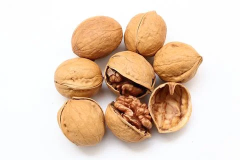 Walnut nut isolated on white background 스톡 사진