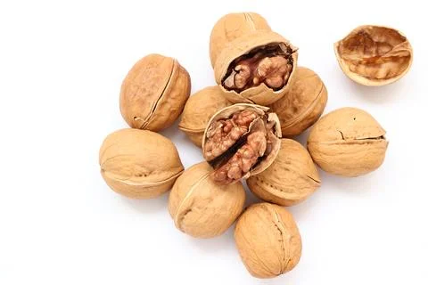 Walnut nut isolated on white background 스톡 사진