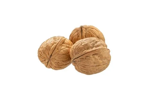 Walnut, nut, isolated on white Stock Photos