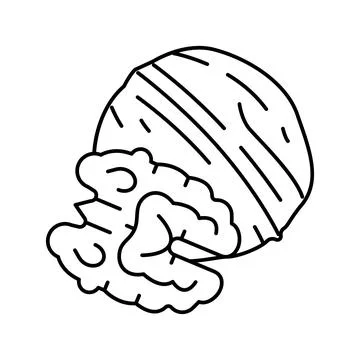 Walnut nut line icon vector illustration Stock Illustration