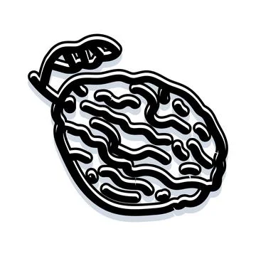 Walnut nut outline resembling a human brain Stock Illustration