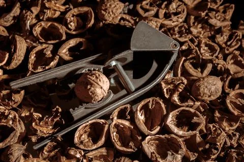 Walnut in nutcracker close-up. Copy space. Beautiful dark background with hea Stockfoto's