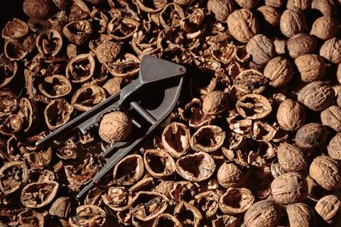 Walnut in nutcracker close-up. Copy space. Beautiful dark background with hea Stock Photos