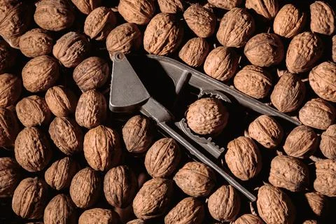 Walnut in a nutcracker close-up. Dark background. Beautiful background with f Stock Photos