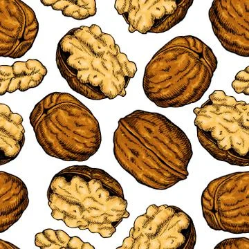 Walnut nuts vector hand drawn seamless pattern. Artistic colorful sketch food Illustrazione stock