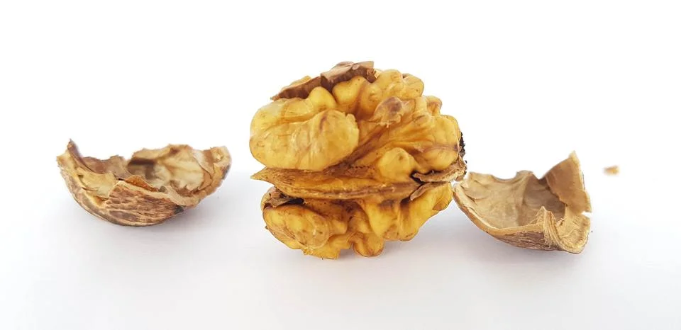 Walnut nuts without shell isolated food background Stock Photos