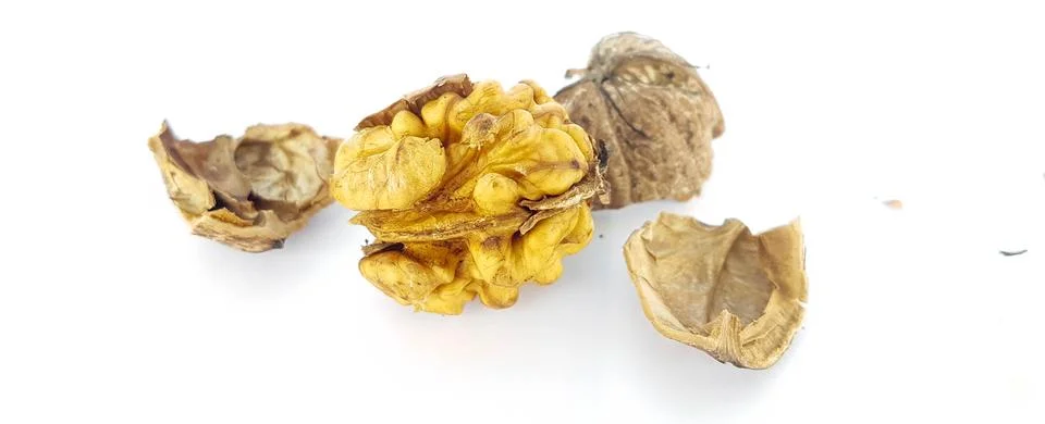 Walnut nuts without shell isolated food background Stock Photos