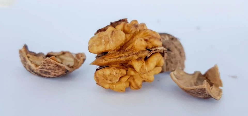 Walnut nuts without shell isolated food background Stock Photos