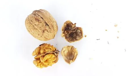 Walnut nuts without shell isolated food background Stock Photos