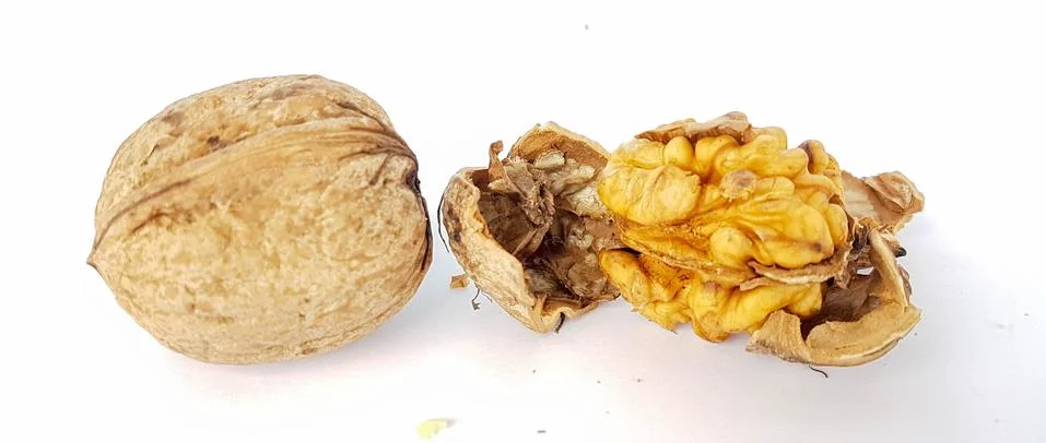 Walnut nuts without shell isolated food background Stock Photos