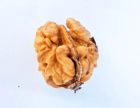 Walnut nuts without shell isolated food background Stock Photos