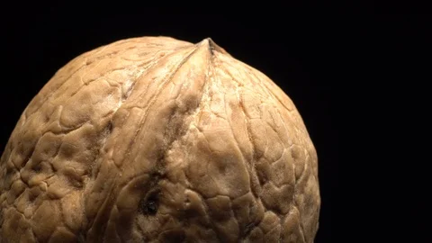 Walnut in nutshell. Rotation. Closeup. Stock Footage 99373468