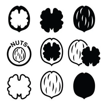 Walnut, nutshell vector icons set Stock Illustration