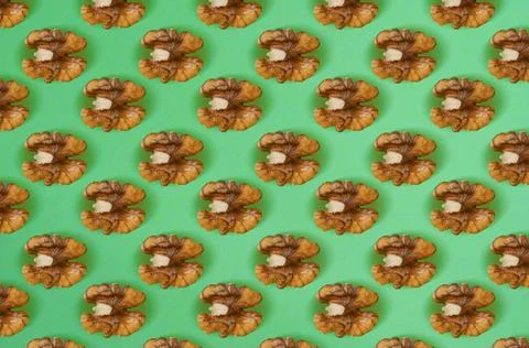 Walnut pattern on green background. Stock Photos