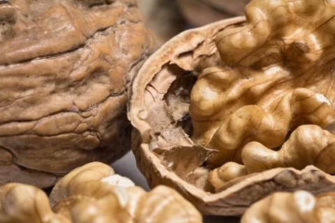 Walnut with peel Stock Photos