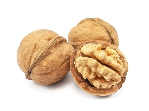 Walnut peeled in shell, isolated on a white background. Stock Photos