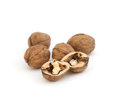 Walnut Stock Photos