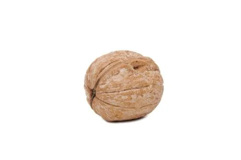 Walnut Stock Photos