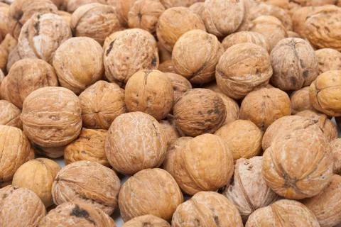 Walnut Stock Photos