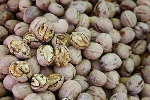 Walnut Stock Photos