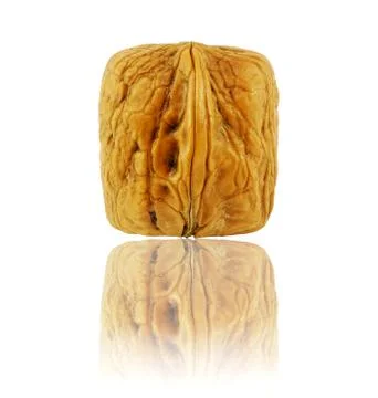 Walnut Stock Photos