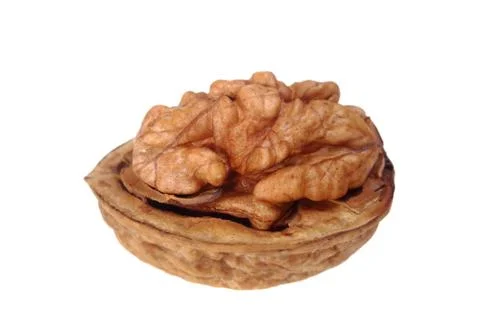 Walnut Stock Photos