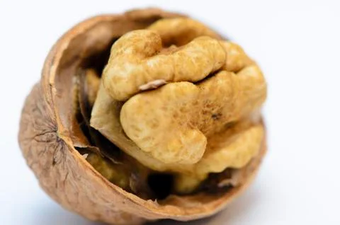 Walnut Stock Photos