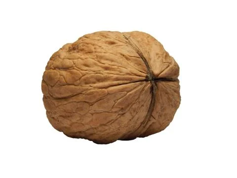 Walnut Stock Photos
